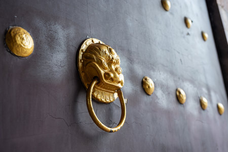 The intricate details of a traditional door found in Chengdu, Sichuan, China. The door features a...