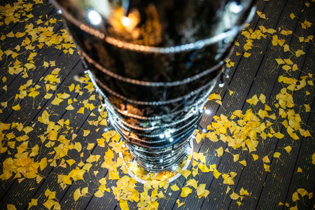 Leaves cover the ground in a Chengdu park. A tall structure is wrapped in lights, adding brightness to the scene. Visitors walk around enjoying the autumn atmosphere and the decorations.の写真素材