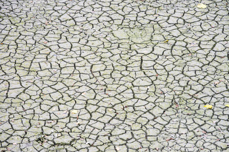 The ground in Chengdu shows signs of dryness with cracks forming on the surface. This scene represents the impact of the dry season in Sichuan, China.の写真素材