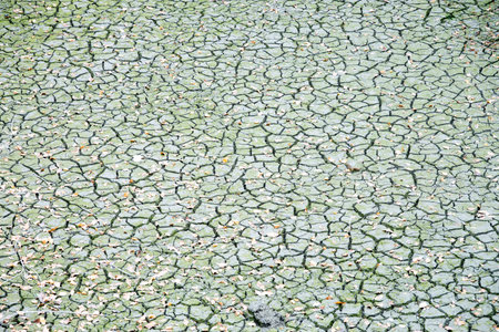 The ground in Chengdu, Sichuan shows cracks and dry patches. The surface has remnants of dried leaves scattered. This represents the impact of weather changes in the area.の写真素材