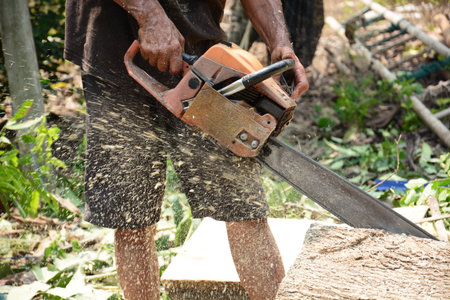 The chainsaw cutting the log of woodの写真素材