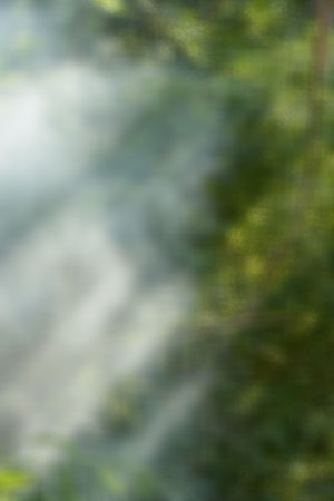 fire , smoke nature blur background