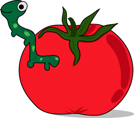 cartoon tomato with worm, white backgroundのイラスト素材