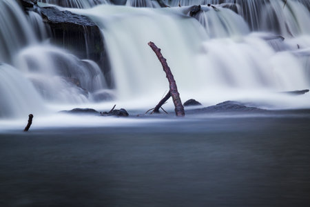 Waterfall in the forestの写真素材