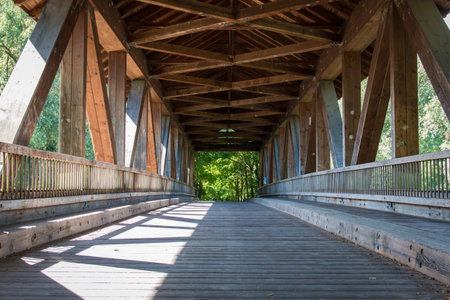 Bridge to the nature reserve