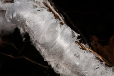 Hairis on deadwoodの写真素材