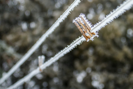 Frost on some clothes pins after a freezing rainの写真素材