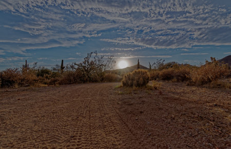 Mountain Bike Tracks on Dirt Road Leading toward an Arizona Sunsetの写真素材