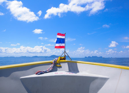 the flagのeditorial素材