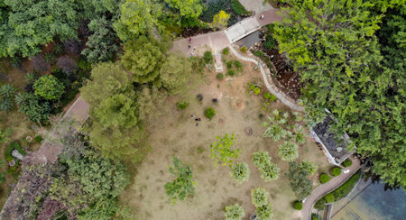 The midair view of the park in Longgang, Shenzhen.
