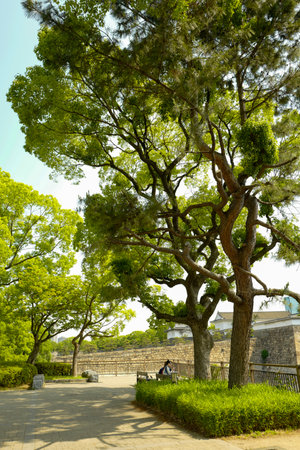 Osaka, Japan, 29th, May, 2017: The way to the Osaka Castle. Osaka Castle is one of Japan's most famous landmarks and it played a major role in the unification of Japan during the sixteenth century of the Azuchi-Momoyama period.のeditorial素材