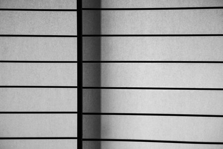 The black and white basic graphic straight lines pattern texture background.の写真素材