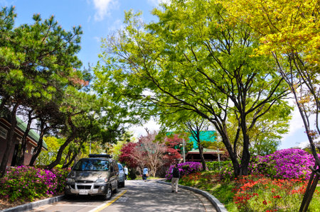 Seoul, Korea, 1st, May, 2013: View of Naksan Park, it gets its name from its camel hump-like appearance.のeditorial素材