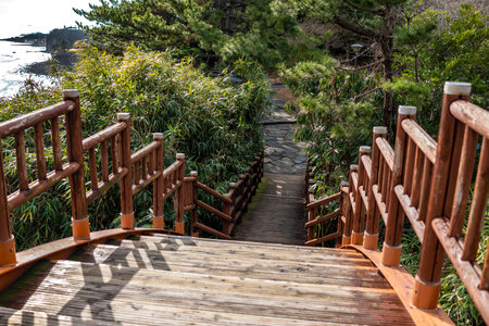 The wooden downstairs lead to the park with plants on the both side.