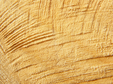 Background from a log of wood.の写真素材