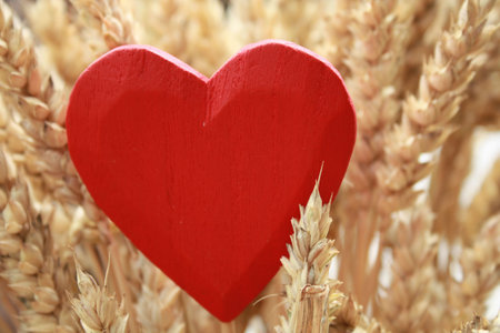 Red heatr in a  cereals.の写真素材