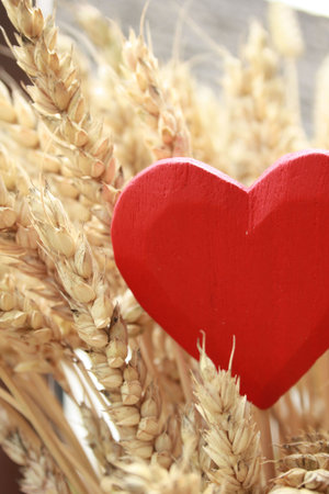 Red heatr in a cereals.の写真素材