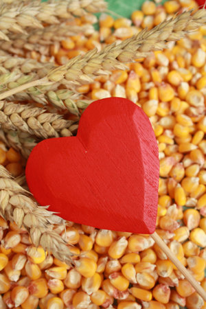 Red heatr in a corn beans and cereals.の写真素材