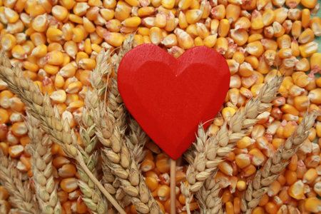 Red heatr in a corn beans and cereals.の写真素材