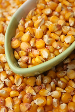 A background of corn beans and bowl with corn beans.