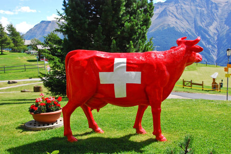 A new breed, Red Swiss!の写真素材