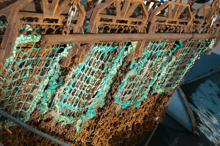 Net scraper of scallop fishing in theの写真素材
