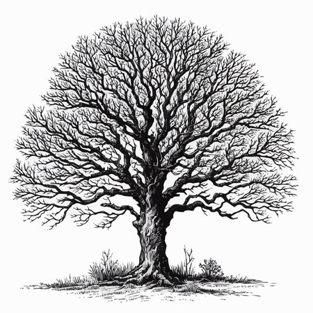 Old oak tree isolated on white background. Hand drawn vector illustration.