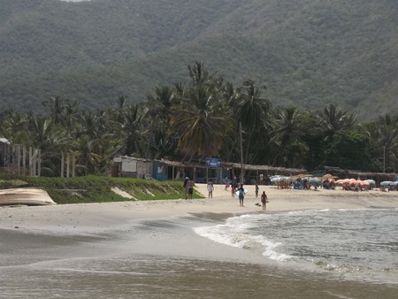Beach of Chuao State Aragua in Venezuelaのeditorial素材