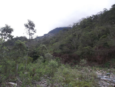 Climate and Vegetation in the Venezuelan Andesの写真素材