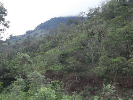 Landscape in the Venezuelan Andesの写真素材