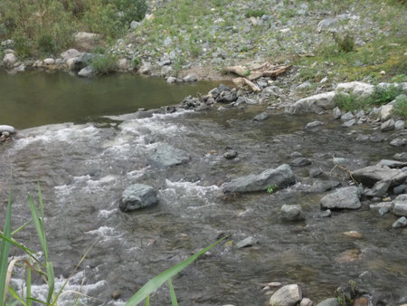 Venezuelan Riverの写真素材