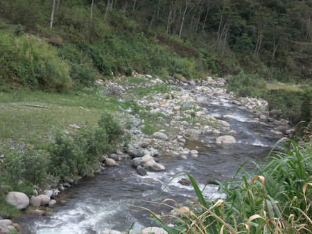 Creek in the Venezuelan Andesの写真素材
