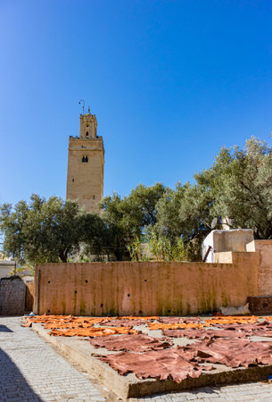 Freshly tanned cow hides for leather baking in the sun under a tall mosque minaret in Fes, Moroccoの写真素材