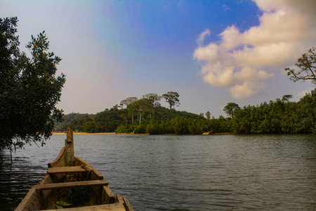 Beautiful landscape view of the river and the forest at sunset.の写真素材