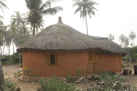 A traditional round hut with a thatched roof, set in a serene environment surrounded by palm trees. The scene reflects the simplicity and cultural heritage of rural life in Ghana.の写真素材