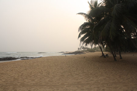 An empty beach at dusk, with soft golden sand and gentle waves lapping at the shore. The sky is a soft gradient from orange to blue, creating a calm and serene atmosphere.の写真素材