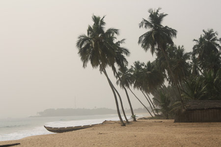 Beach huts nestled among palm trees along the Ghanaian coast. The calm and picturesque setting is perfect for a beachside retreat.の写真素材