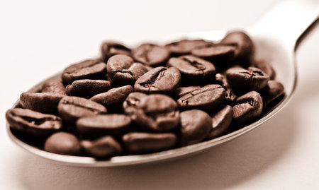 macro image of coffee bean on a spoonの写真素材