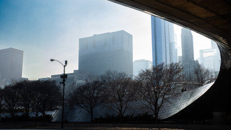 Skyline of downtown Chicago, Illinois, United States of America.の写真素材
