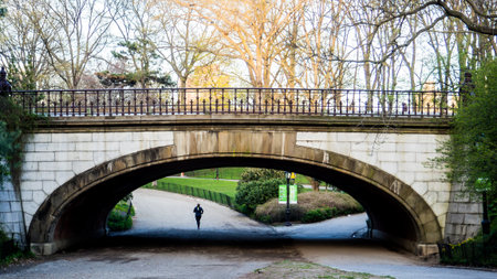 A view of a bridge in Central Park in New York City.の写真素材