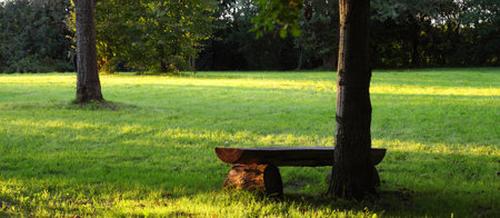 picnic place, Bench in the park at sunset. の写真素材