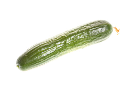 green Cucumber on a white backgroundの写真素材