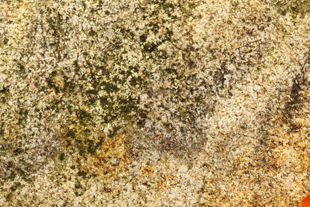 Background of stone wall texture の写真素材