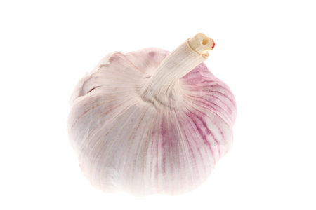 Garlic isolated on white background.の写真素材