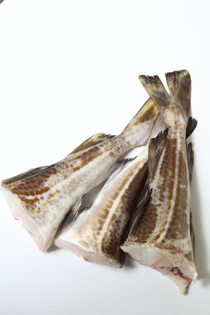 Raw cod fish fillets in kitchen on white background