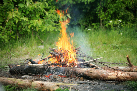 bonfire, campfire in the summer forestの写真素材