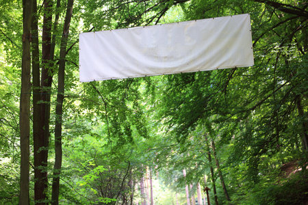 Blank white board banner and green treesの写真素材