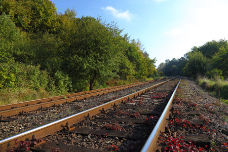 Rail Road Tracks - outdoorの写真素材