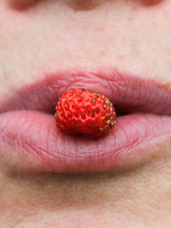 Enjoying summer fruit Closeup of ripe wild strawberryの写真素材