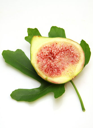 fresh figの写真素材